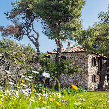 Elli Cottage Σκόπελος Εξωτερικό φωτογραφία
