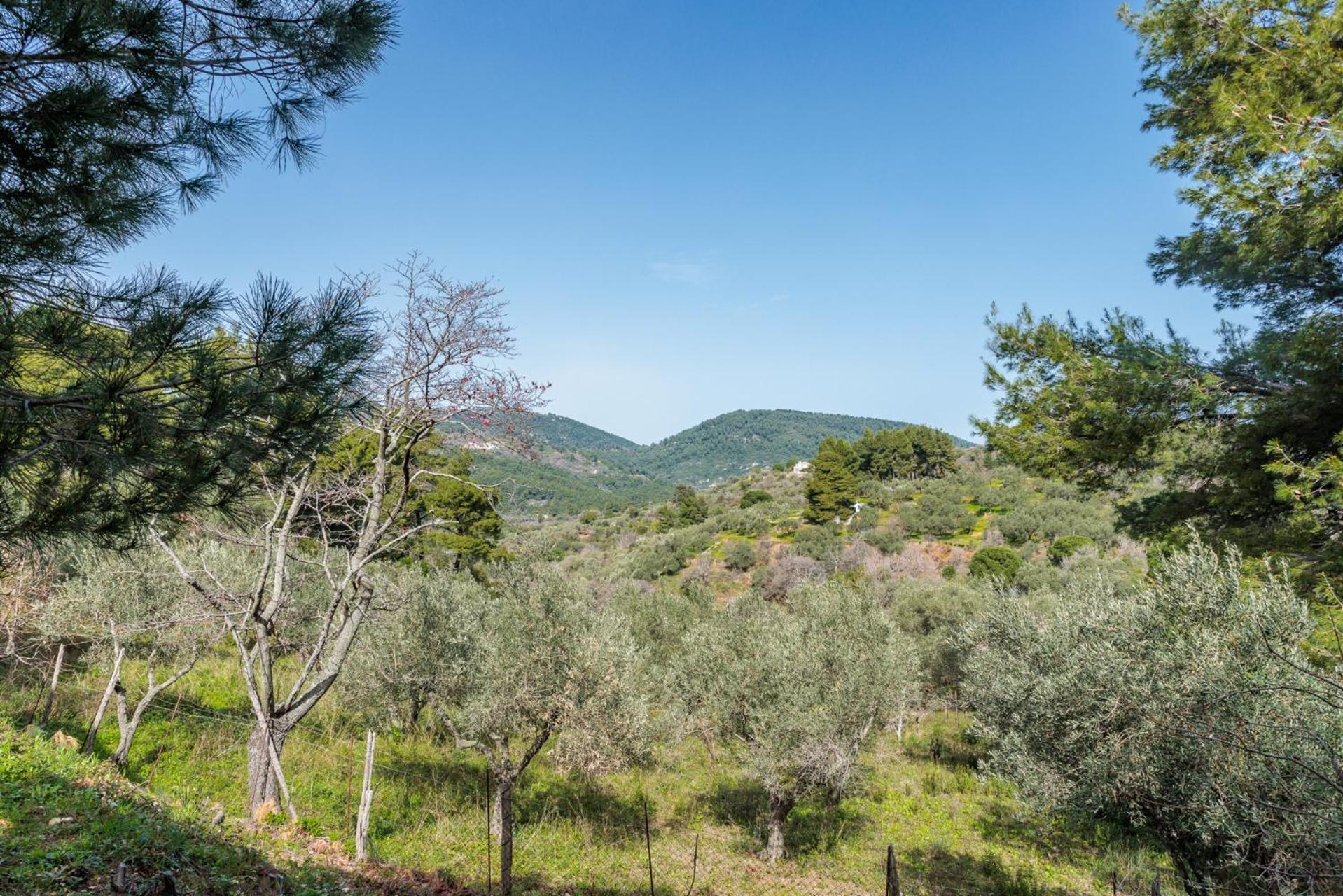 Elli Cottage Σκόπελος Εξωτερικό φωτογραφία