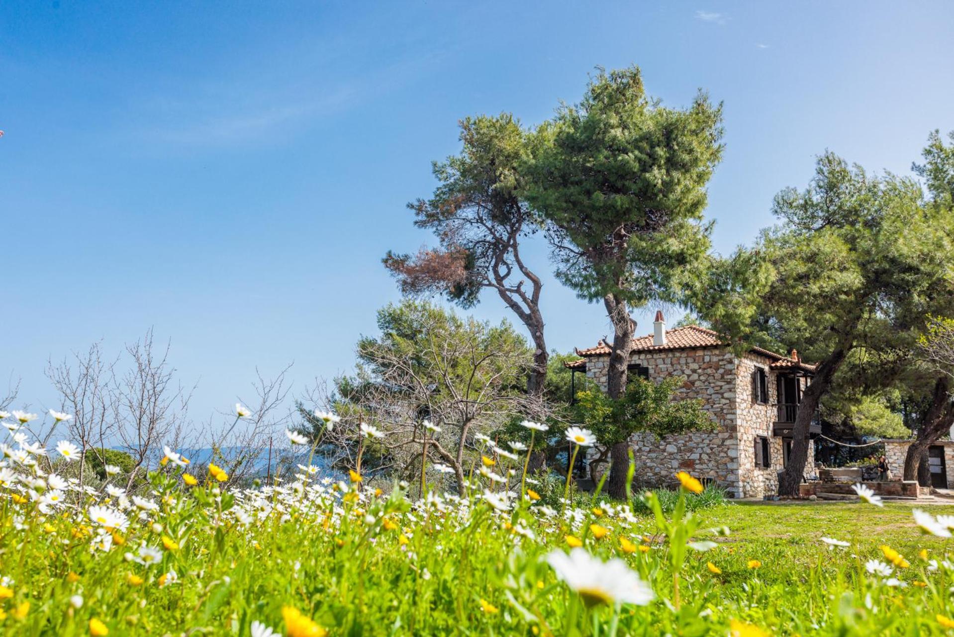 Elli Cottage Σκόπελος Εξωτερικό φωτογραφία