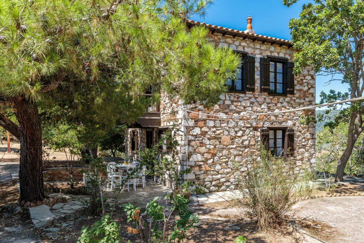 Elli Cottage Σκόπελος Εξωτερικό φωτογραφία