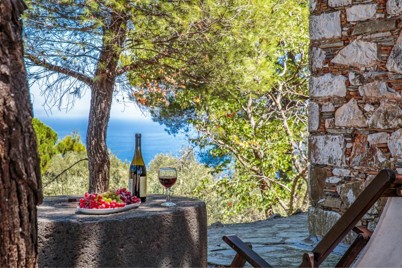 Elli Cottage Σκόπελος Εξωτερικό φωτογραφία